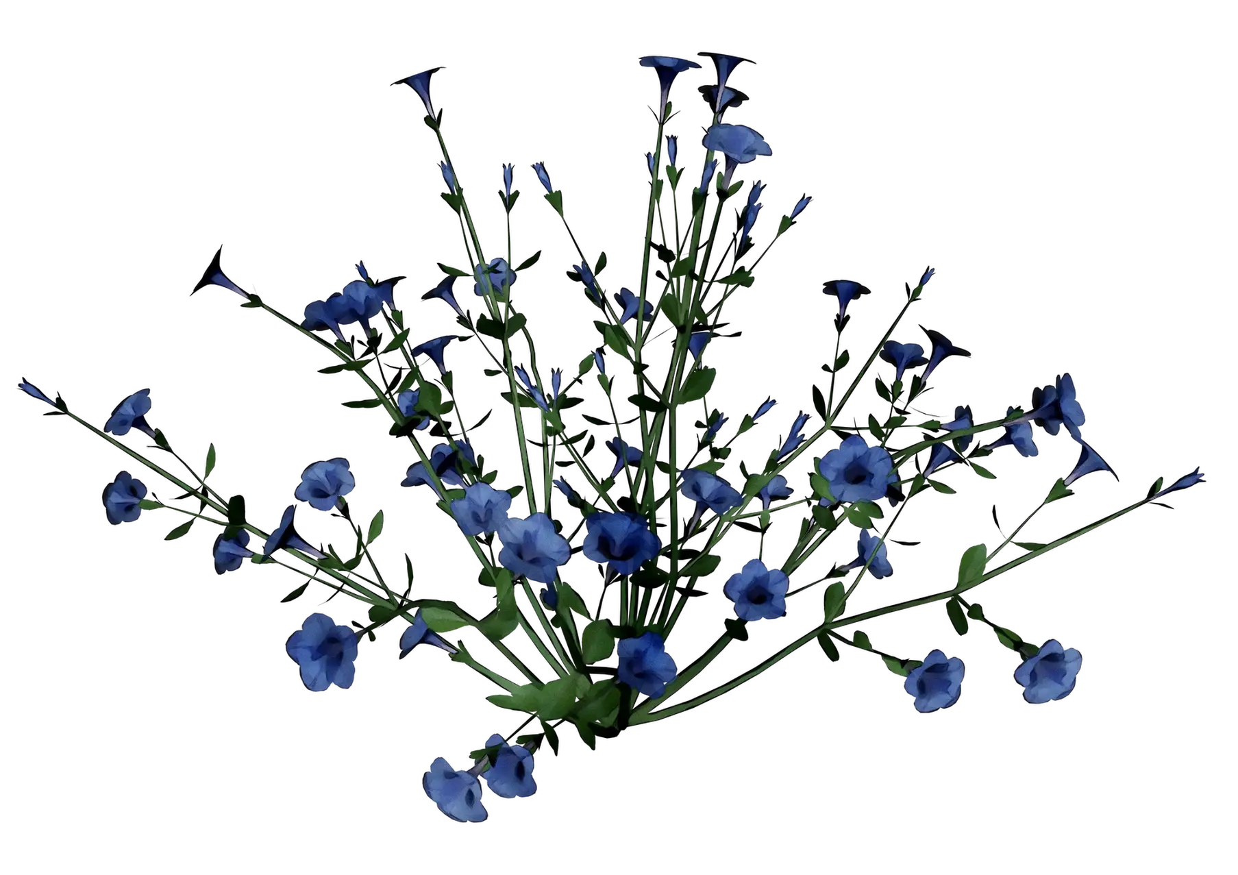 Cluster of Blue Flowers