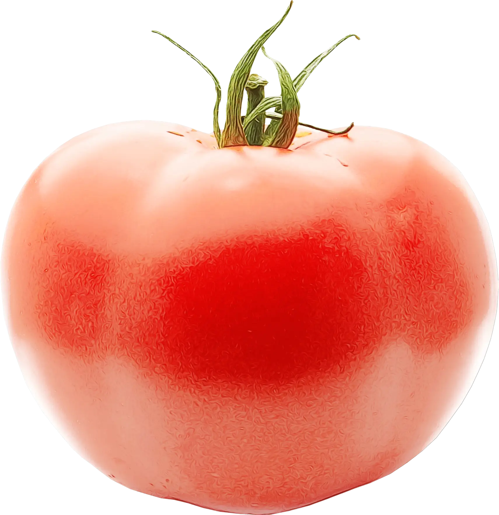 Ripe Red Tomato Close-Up