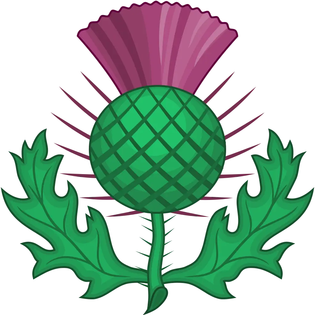 Thistle Flower Symbol