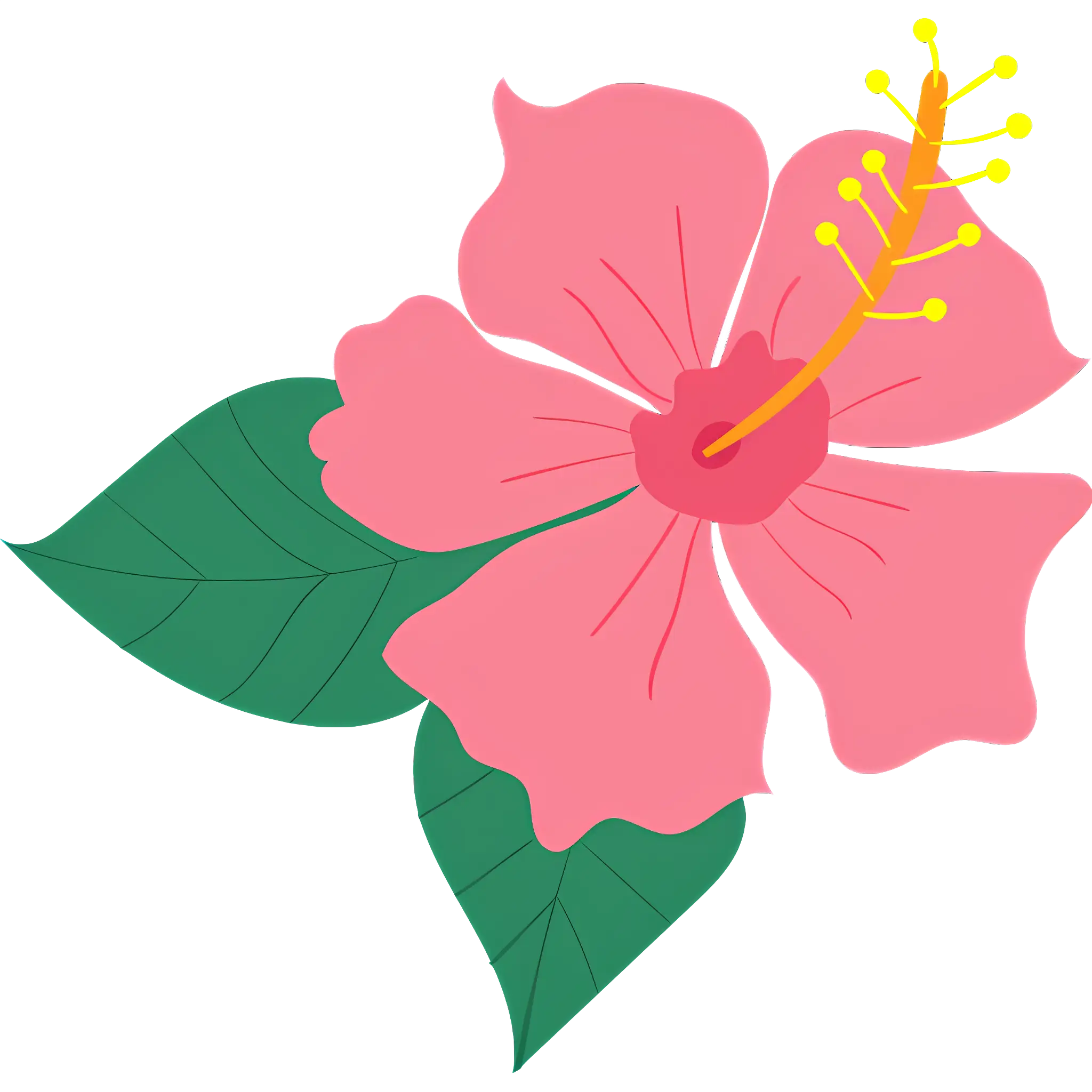 Pink Hibiscus Flower with Leaves
