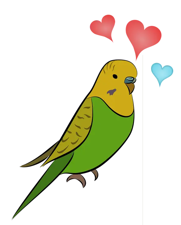 Parakeet with Hearts