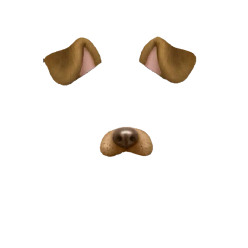 Dog Face Filter Overlay Design