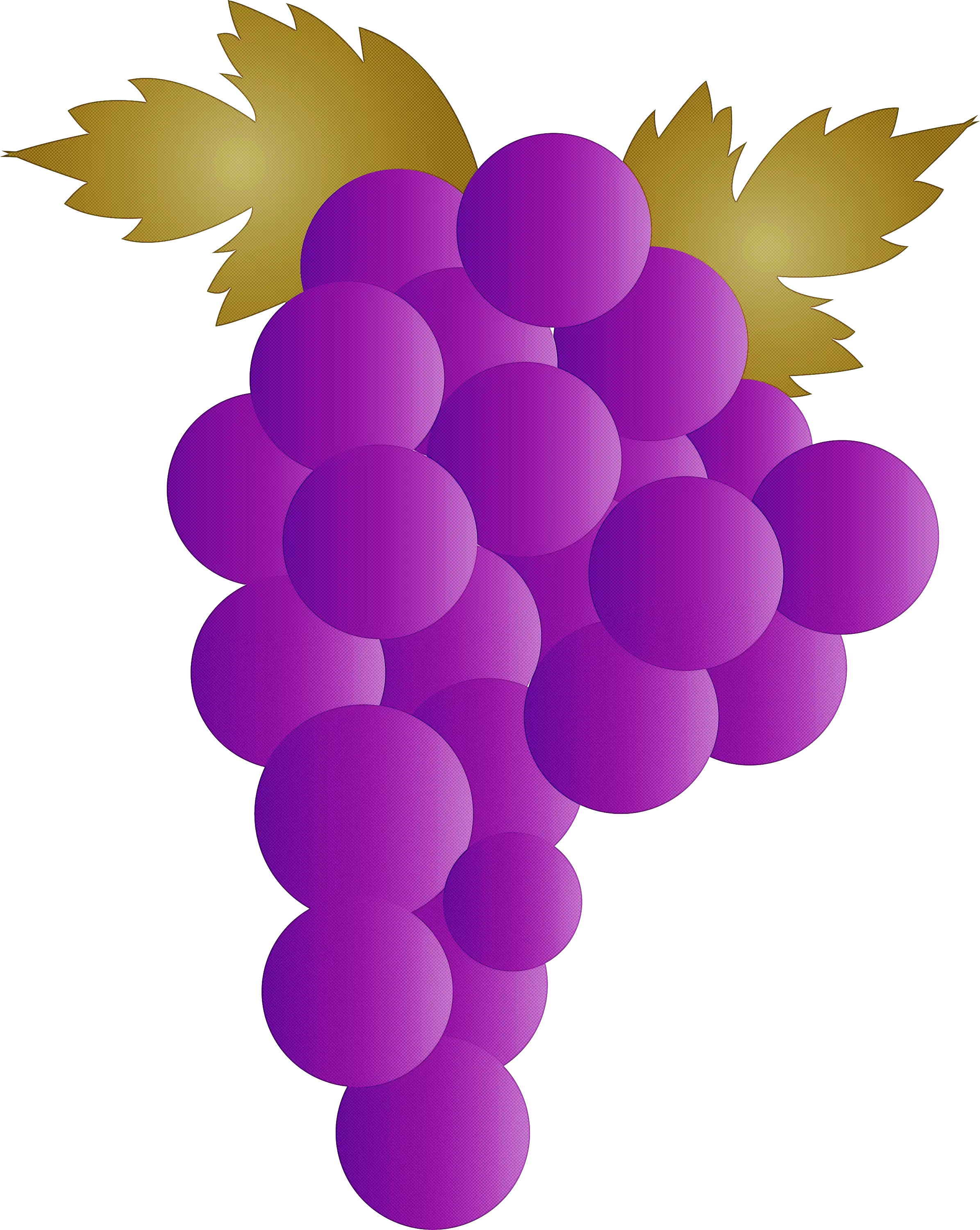 Illustration of a Purple Grape Bunch