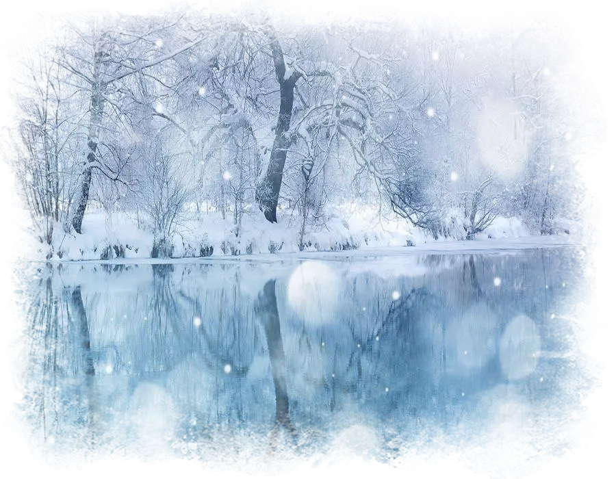 Winter Landscape with Snowy Trees