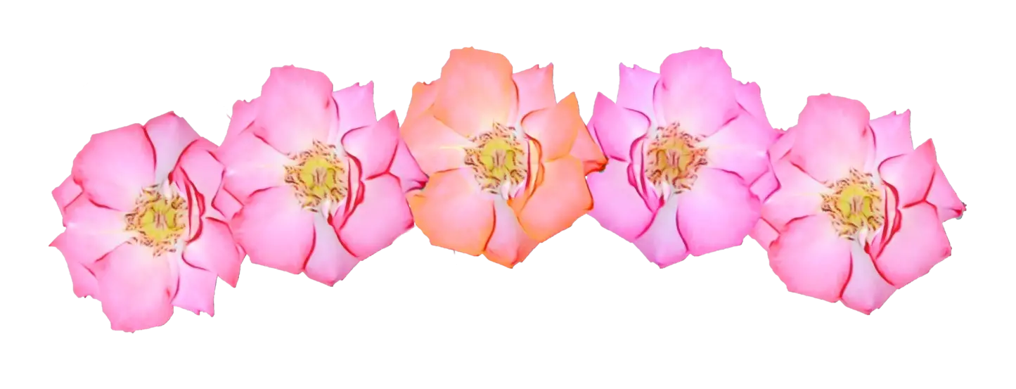Pink and Orange Roses in a Chain Arrangement