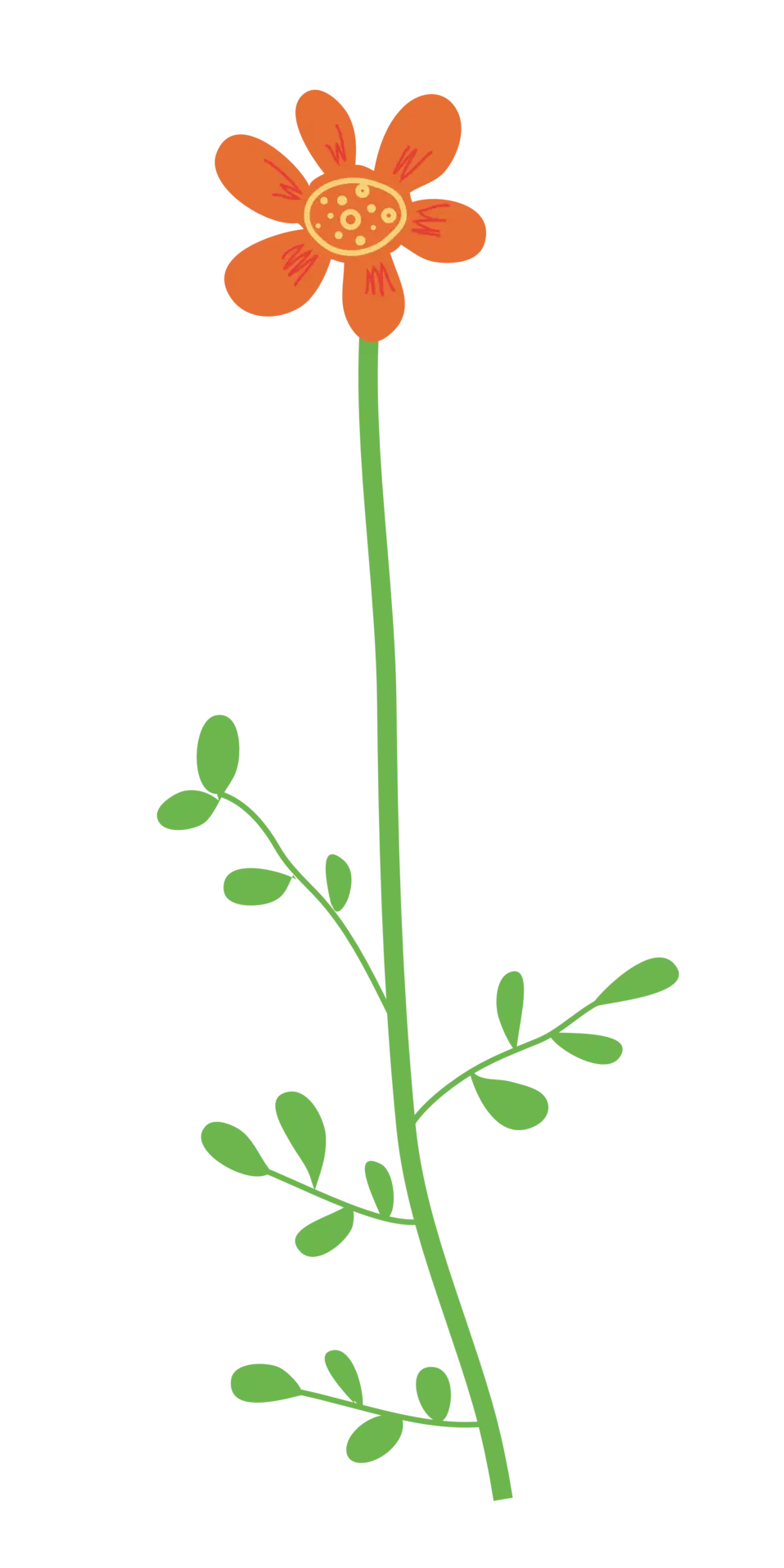 Simple Orange Flower Swinging on a Stem