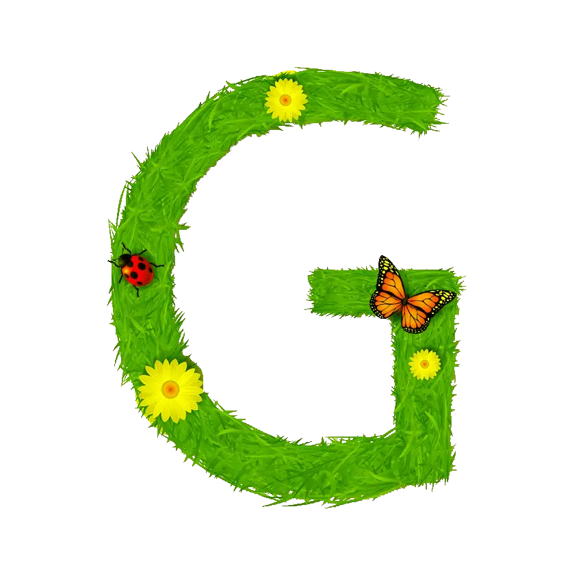 Grass Letter G with Flowers and Insects