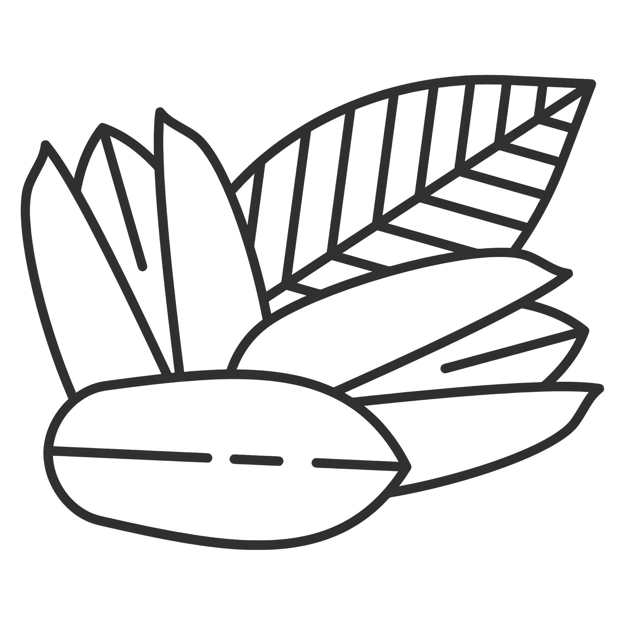 Outline Drawing of Leaves and Seed