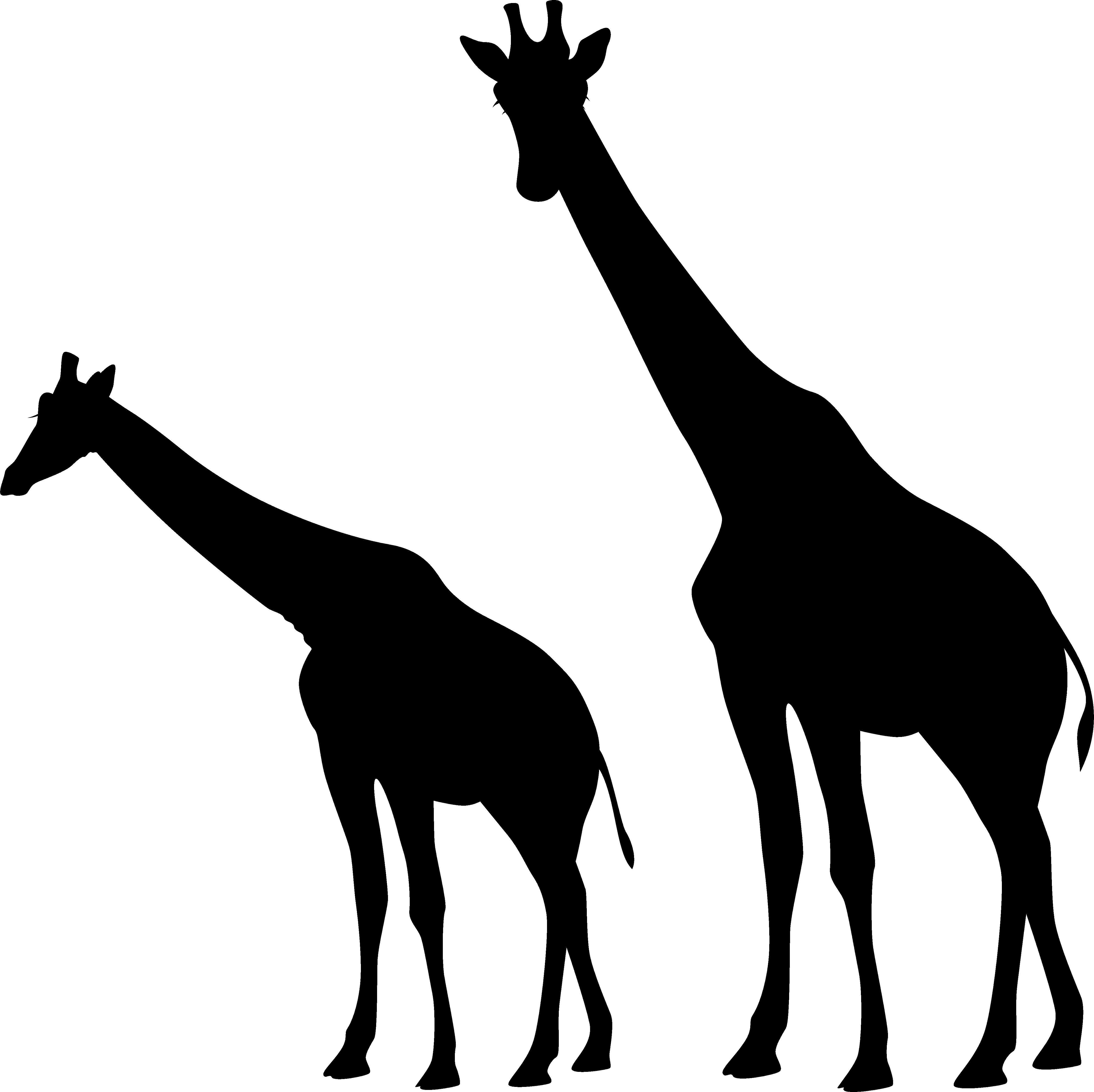 Giraffe Silhouette Illustration