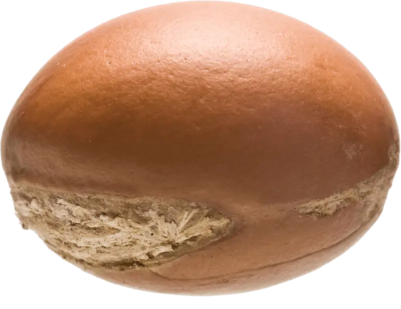 Shea Nut Seed