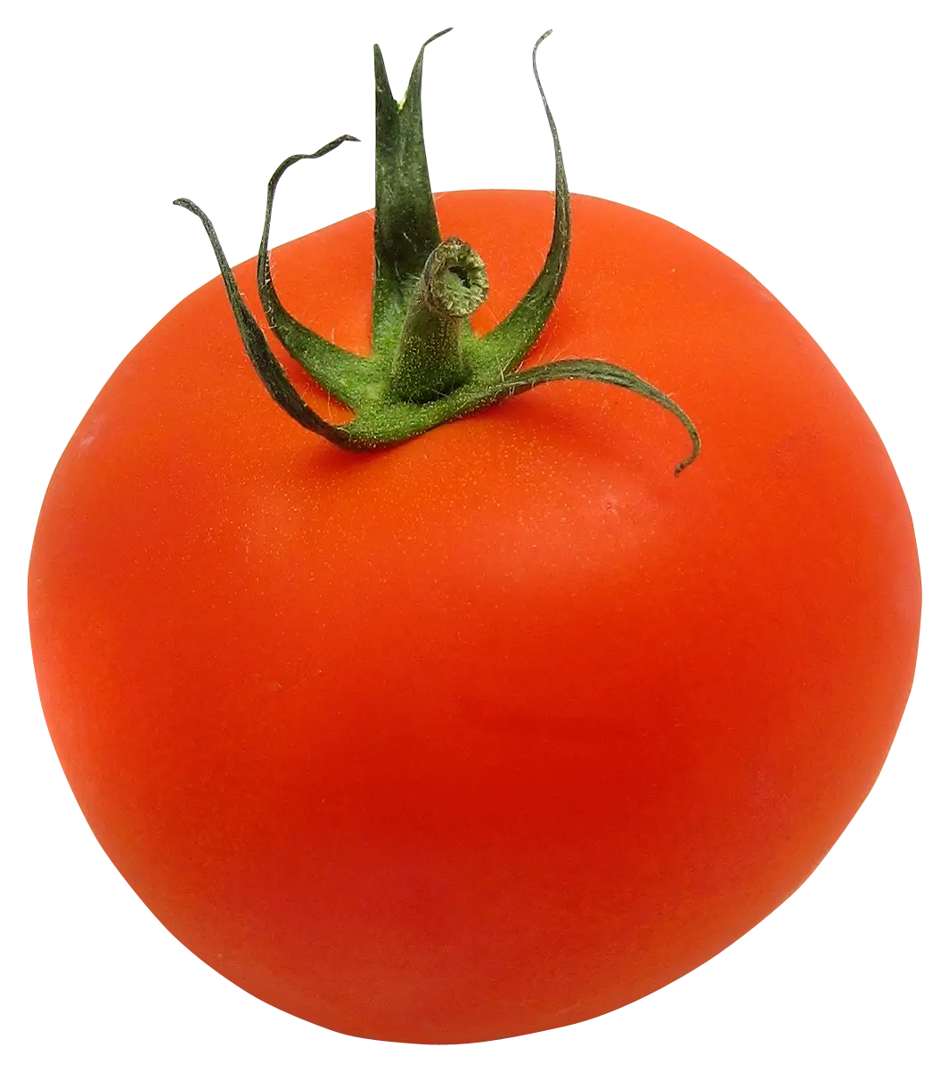 Bright Red Tomato