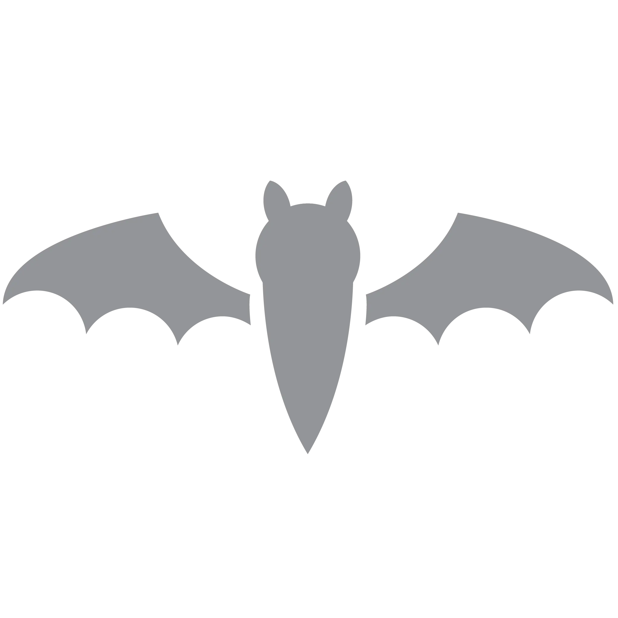 Gray Bat Illustration