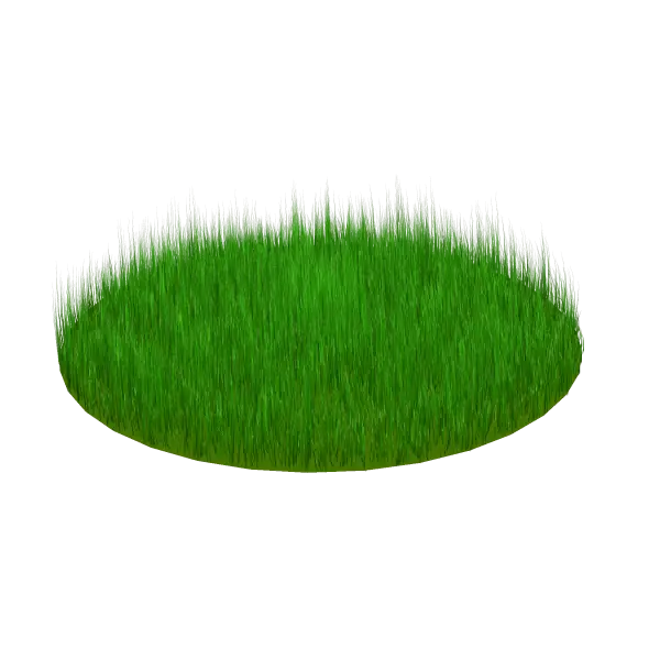 Green Grass Patch