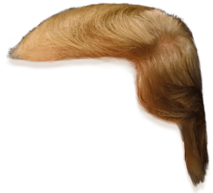 Blonde Hairpiece