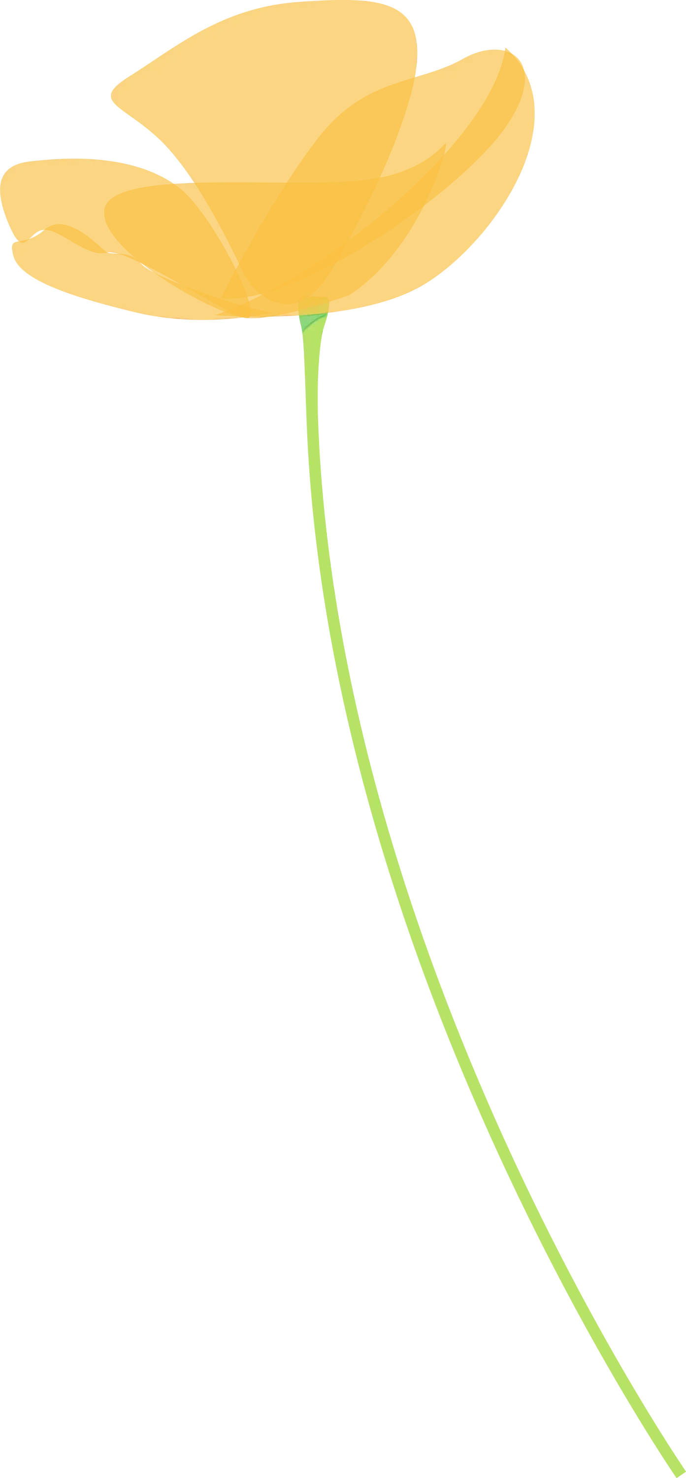 Yellow Flower with Long Stem Illustration