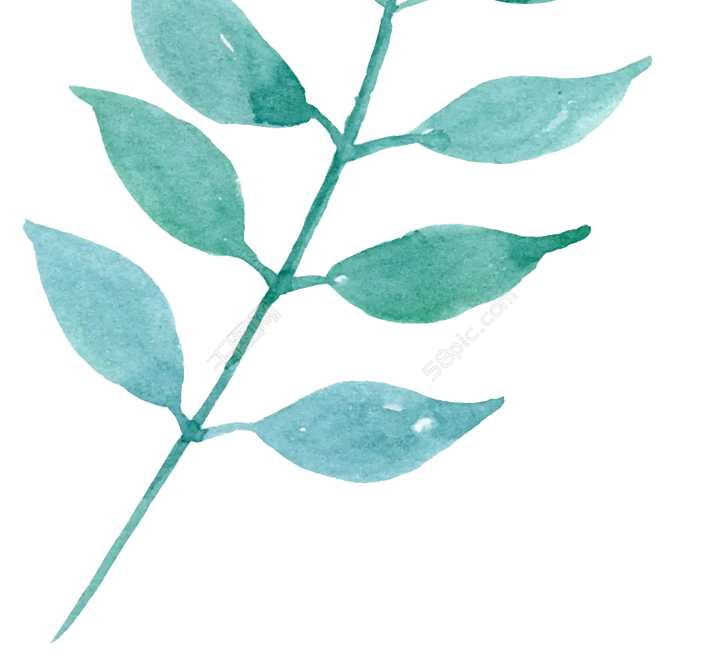 Green Leaf Watercolor Branch Illustration