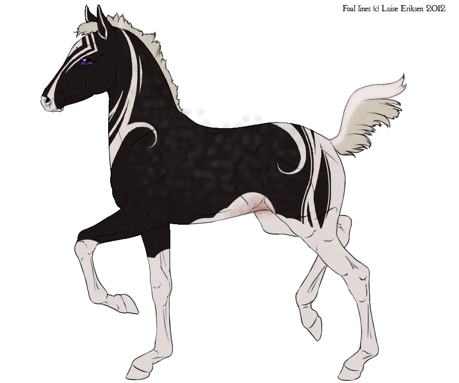 Black and White Horse Illustration
