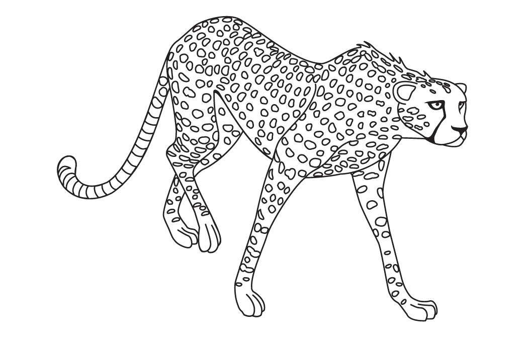 Cheetah Line Art Illustration