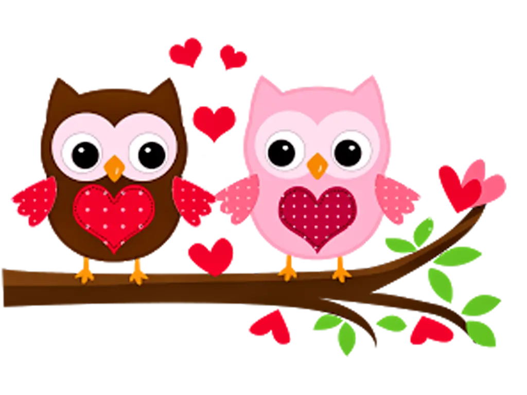 Cute Owls in Love on a Branch
