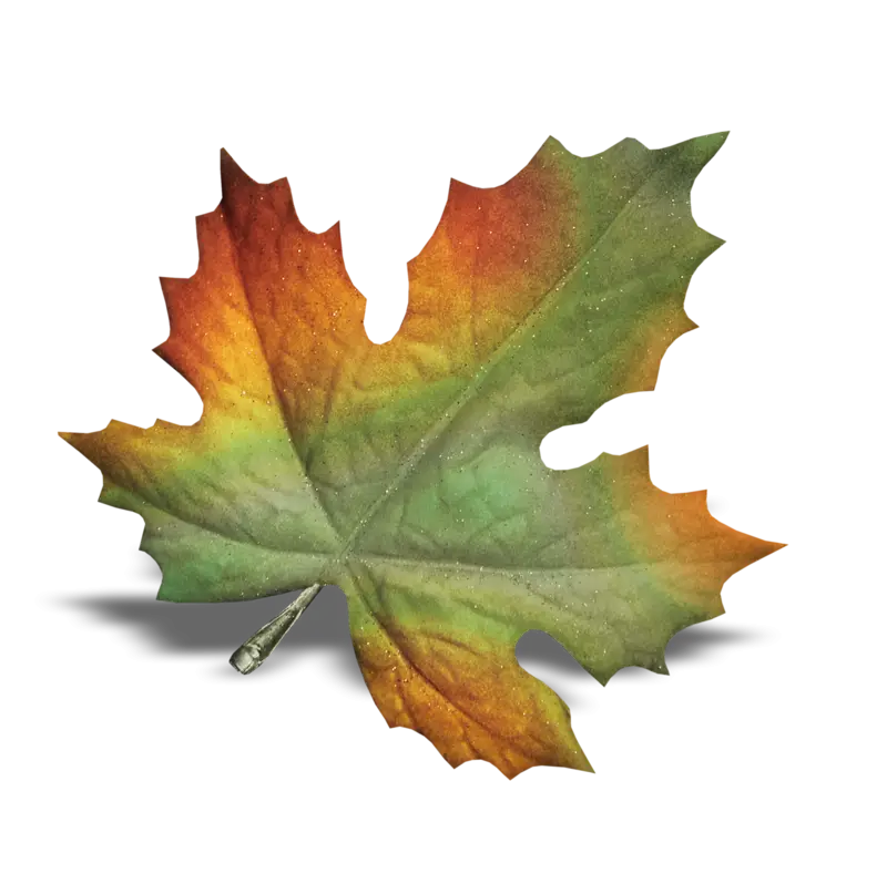 Autumn Leaf with Multicolor Design