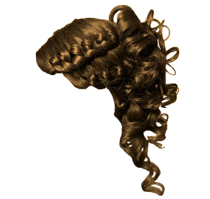 Curly Brown Wig for Costume