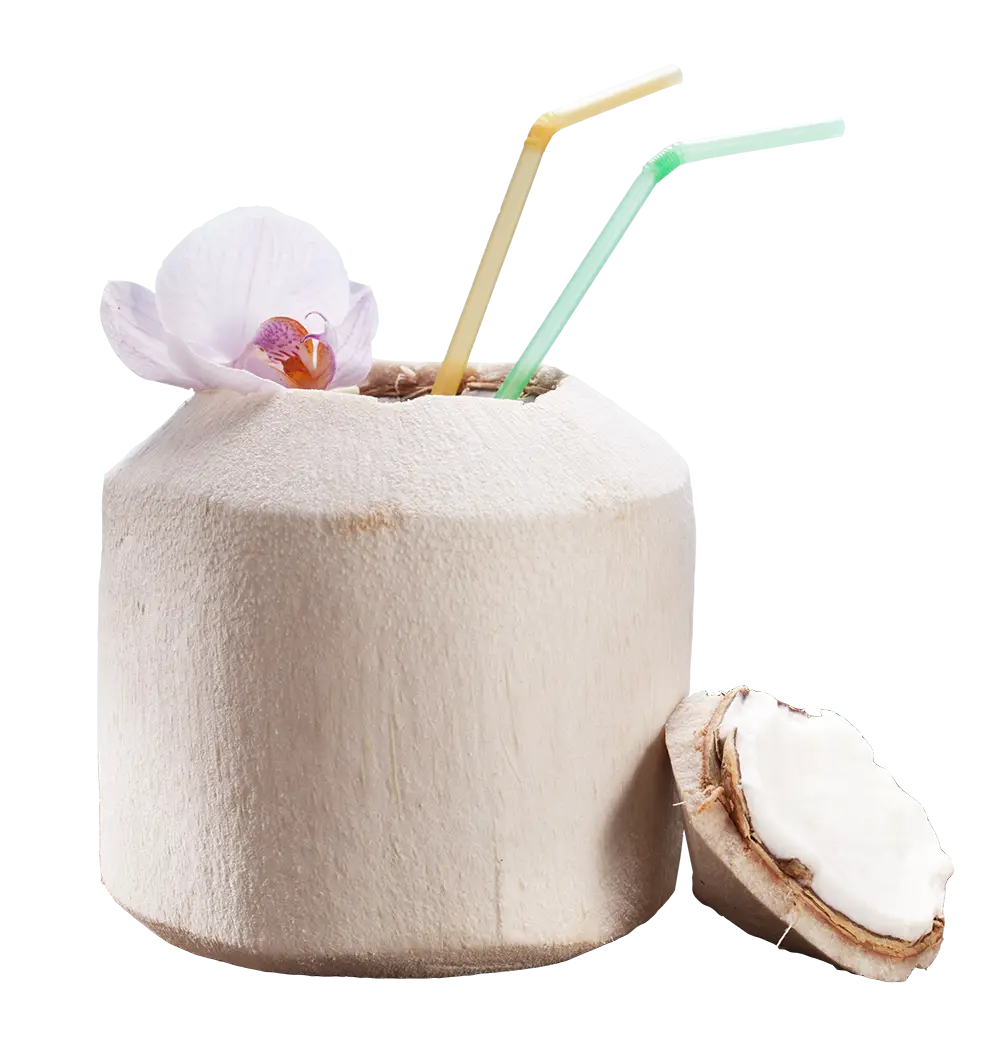Refreshing Coconut Drink with Straws