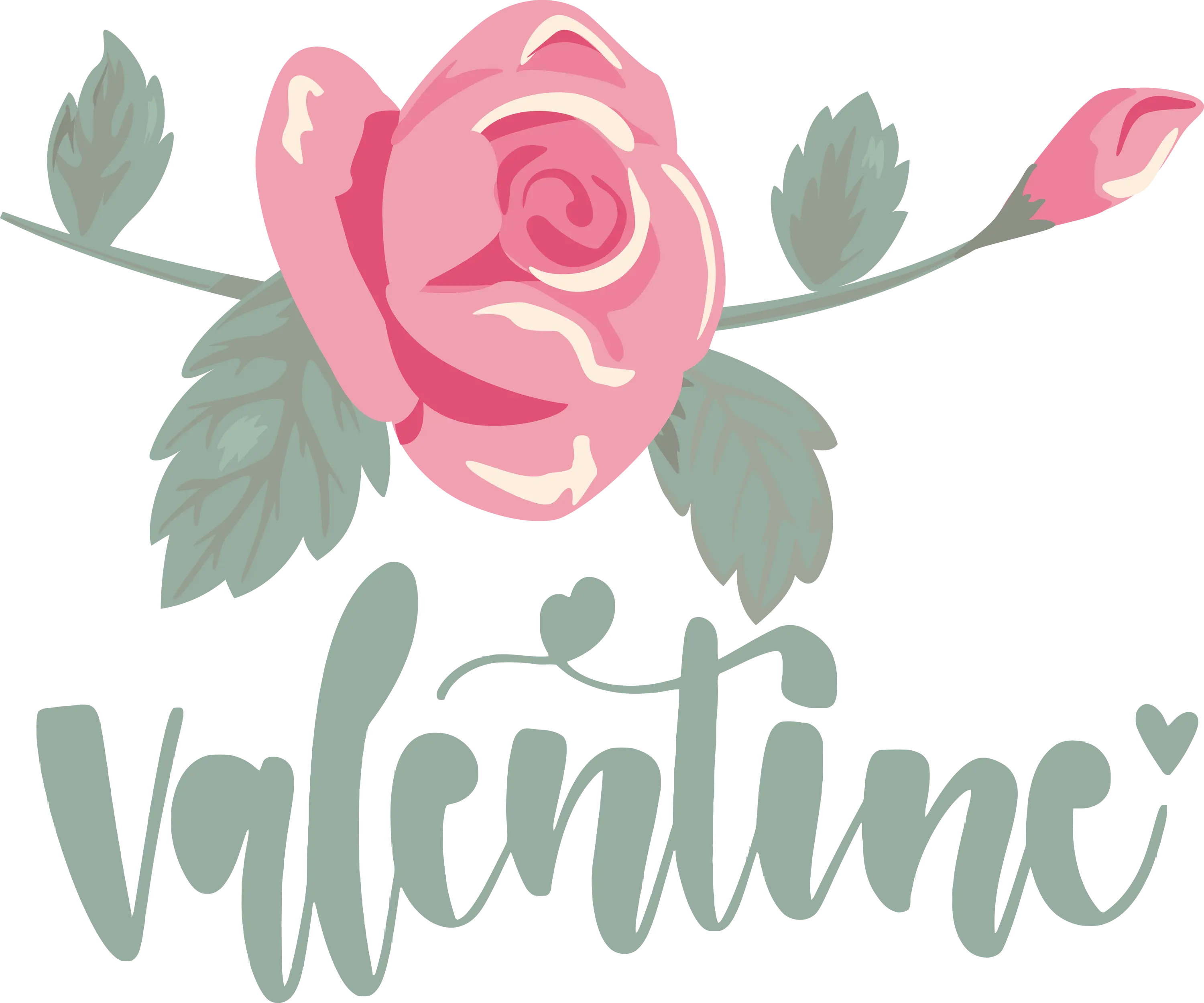 Pink Rose with Valentine&#039;s Day Greeting