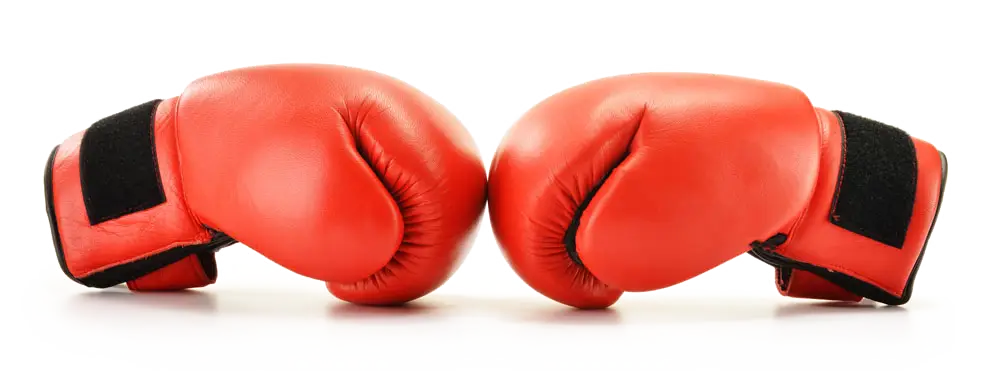 Pair of Red Boxing Gloves