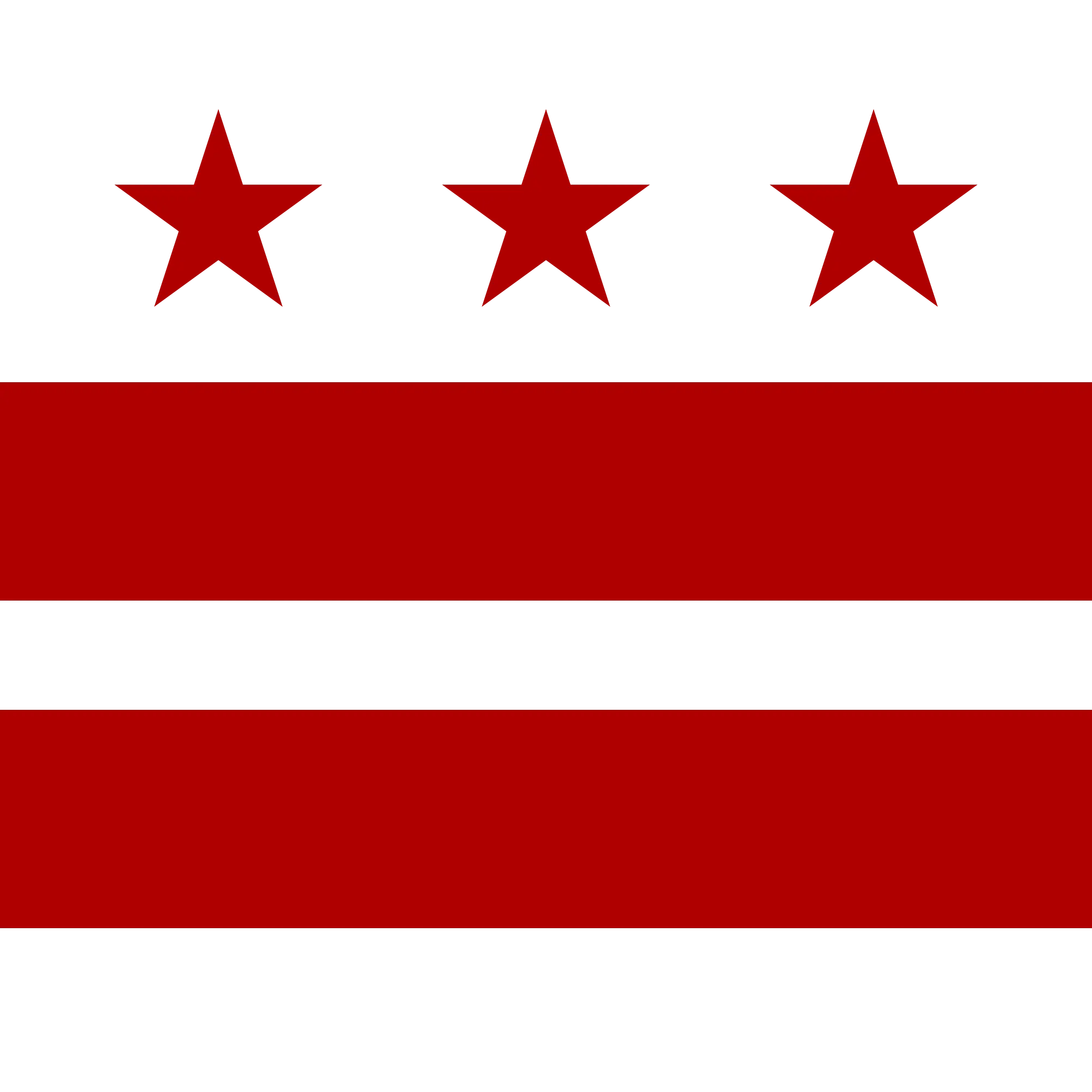 Red and White Striped Flag with Stars