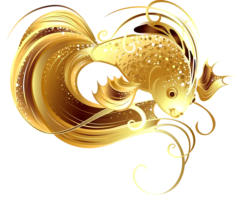 Elegant Golden Fish