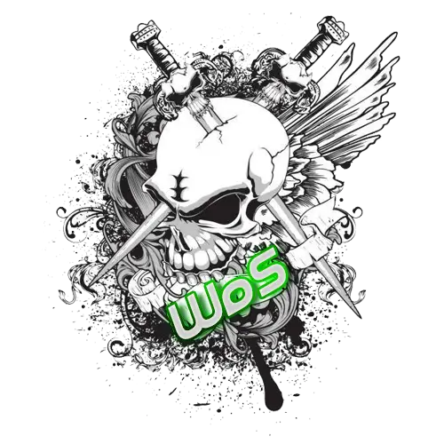 Skull with Swords and Wings Illustration