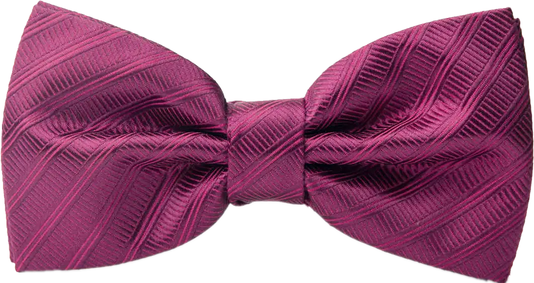 Purple Striped Bow Tie