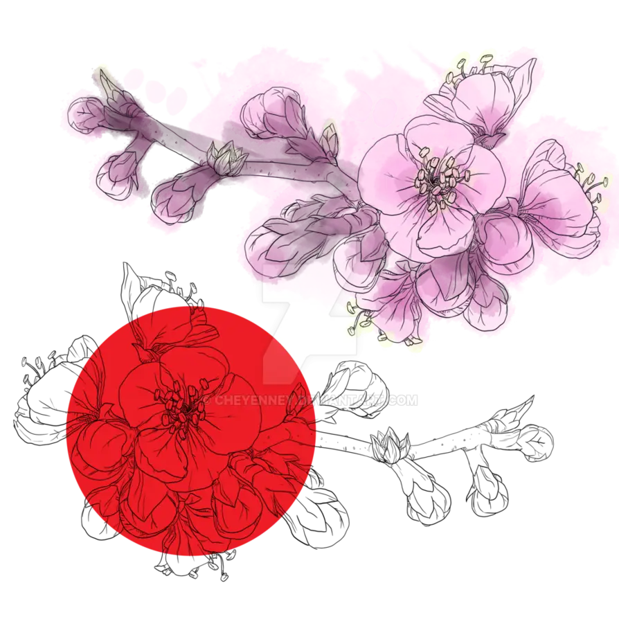 Beautiful Cherry Blossom Illustration