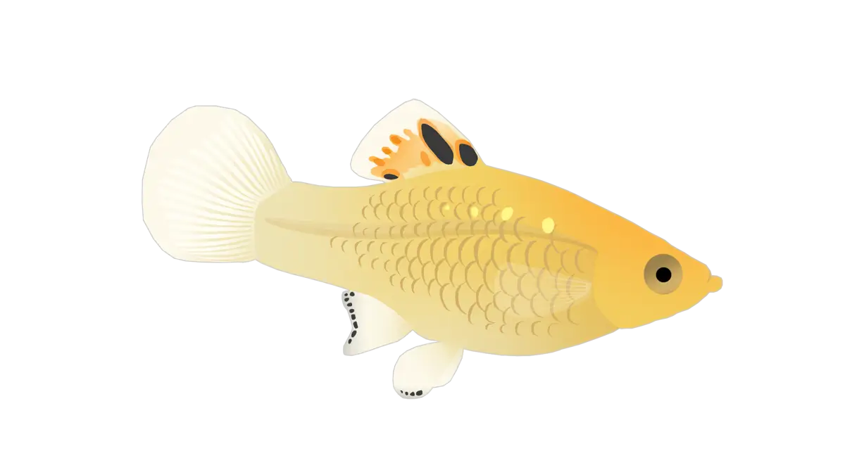 Yellow Cartoon Fish Illustration