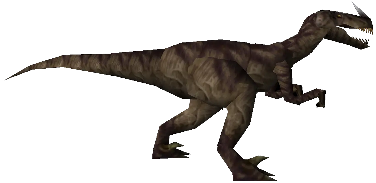 Brown Velociraptor Dinosaur Illustration