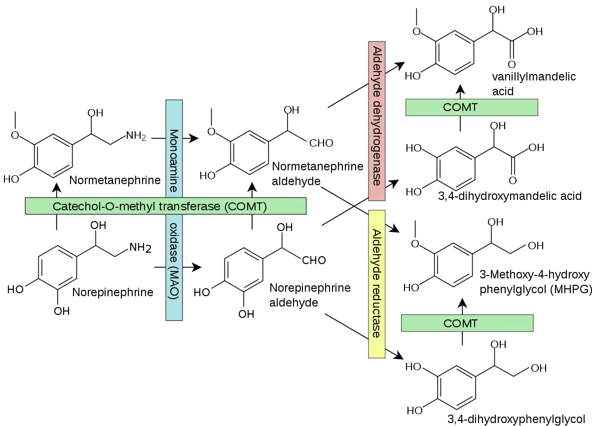 Chemical Structure Diagram