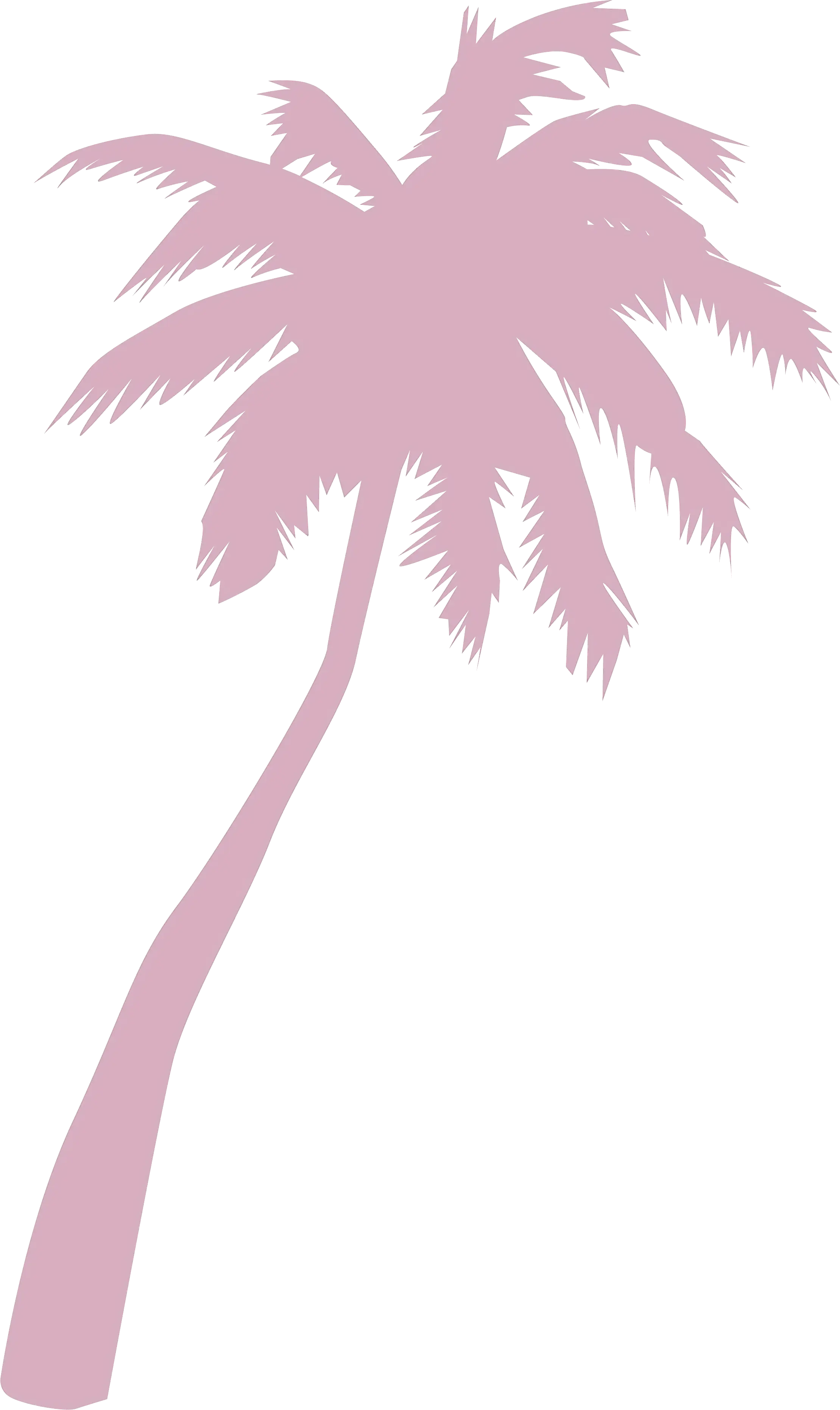 Pink Palm Tree Silhouette Illustration