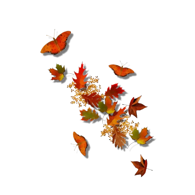 Autumn Leaves and Butterflies Illustration