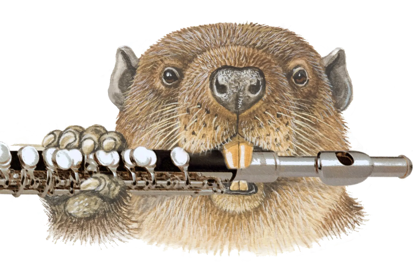 Animal Playing Flute Illustration