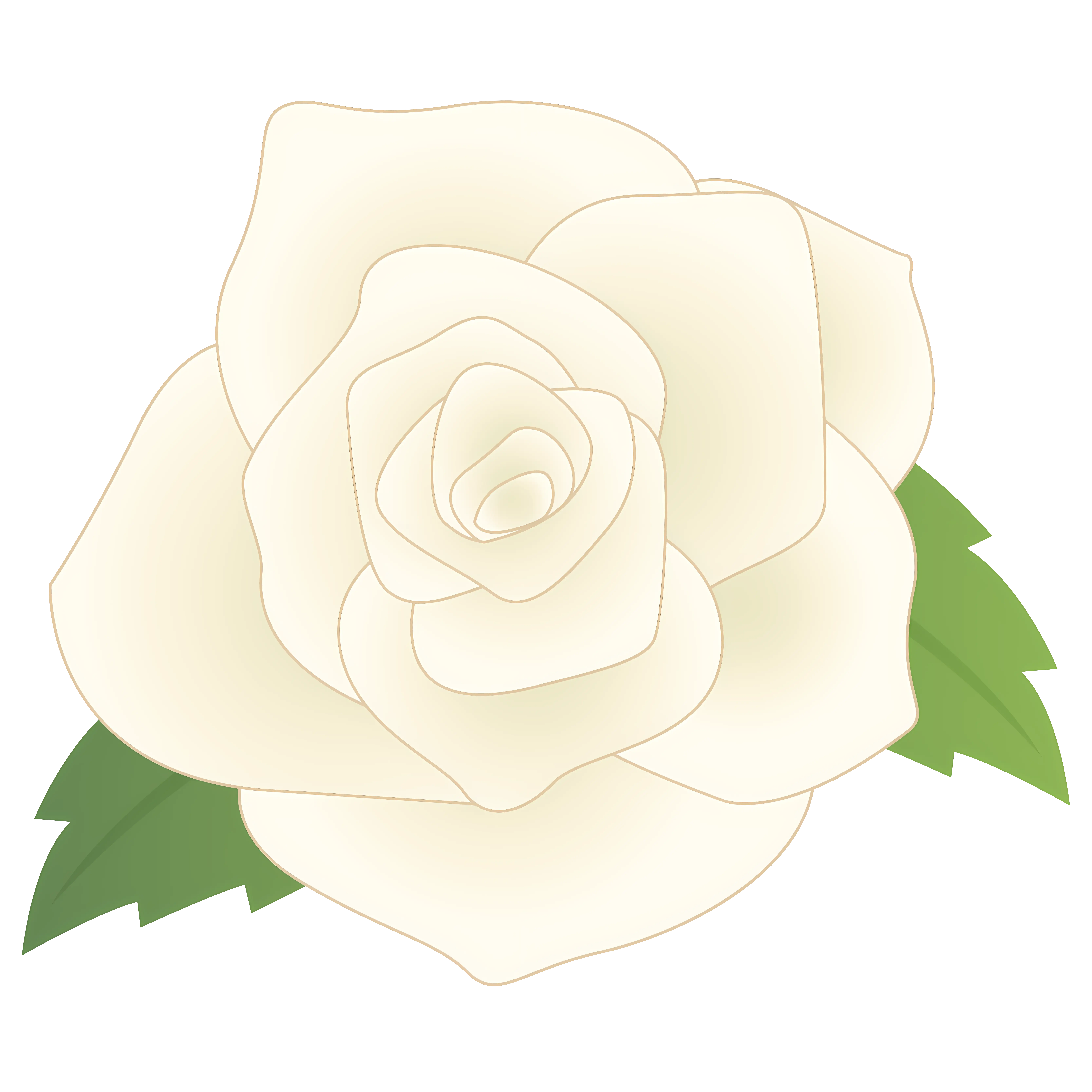 Minimalistic White Rose Illustration