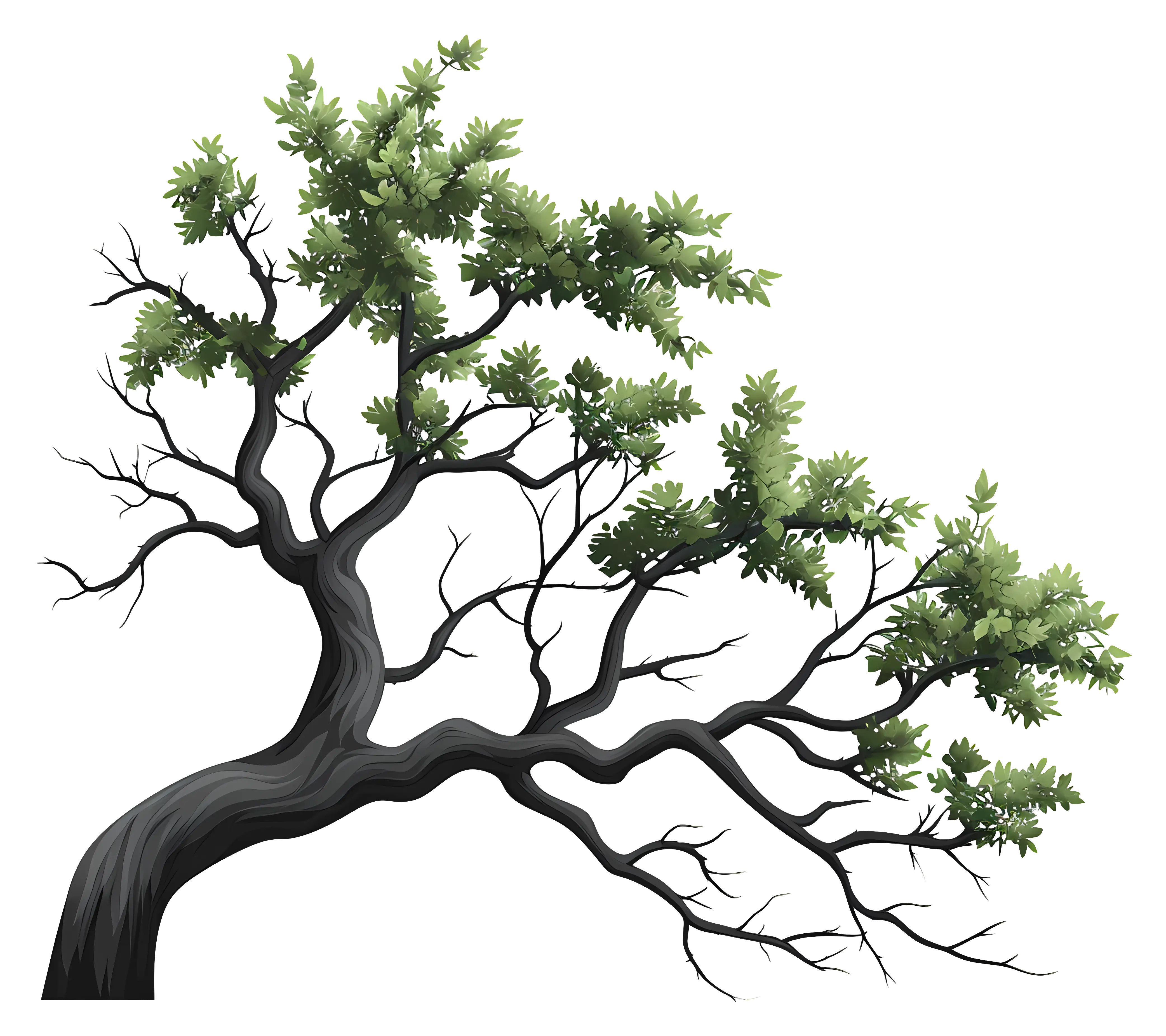Windswept Tree Branch Illustration
