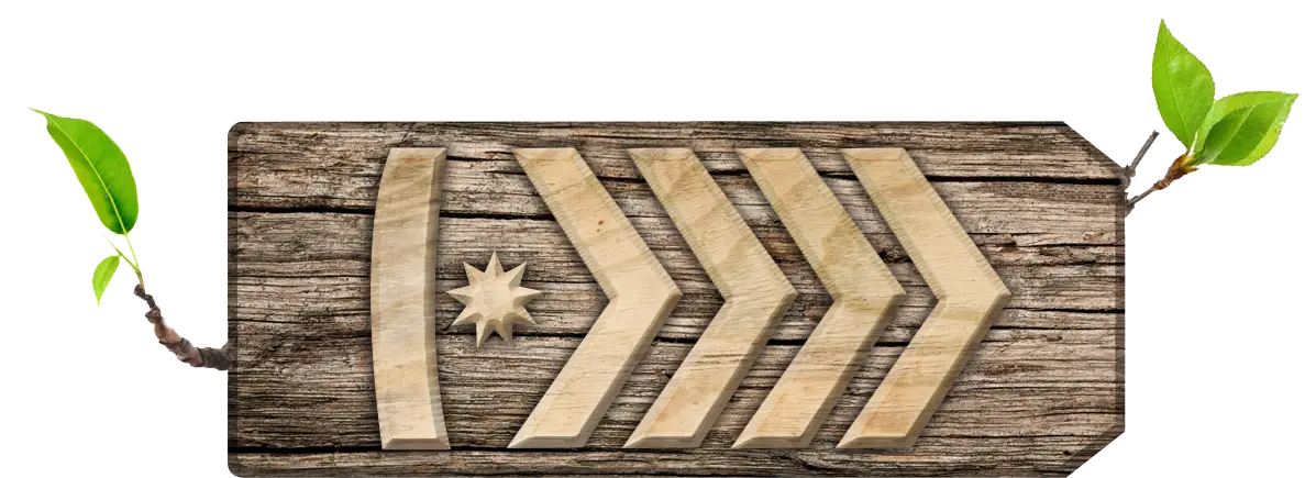 Rustic Wooden Sign with Arrows