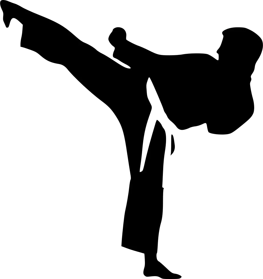 Karate Kick Silhouette
