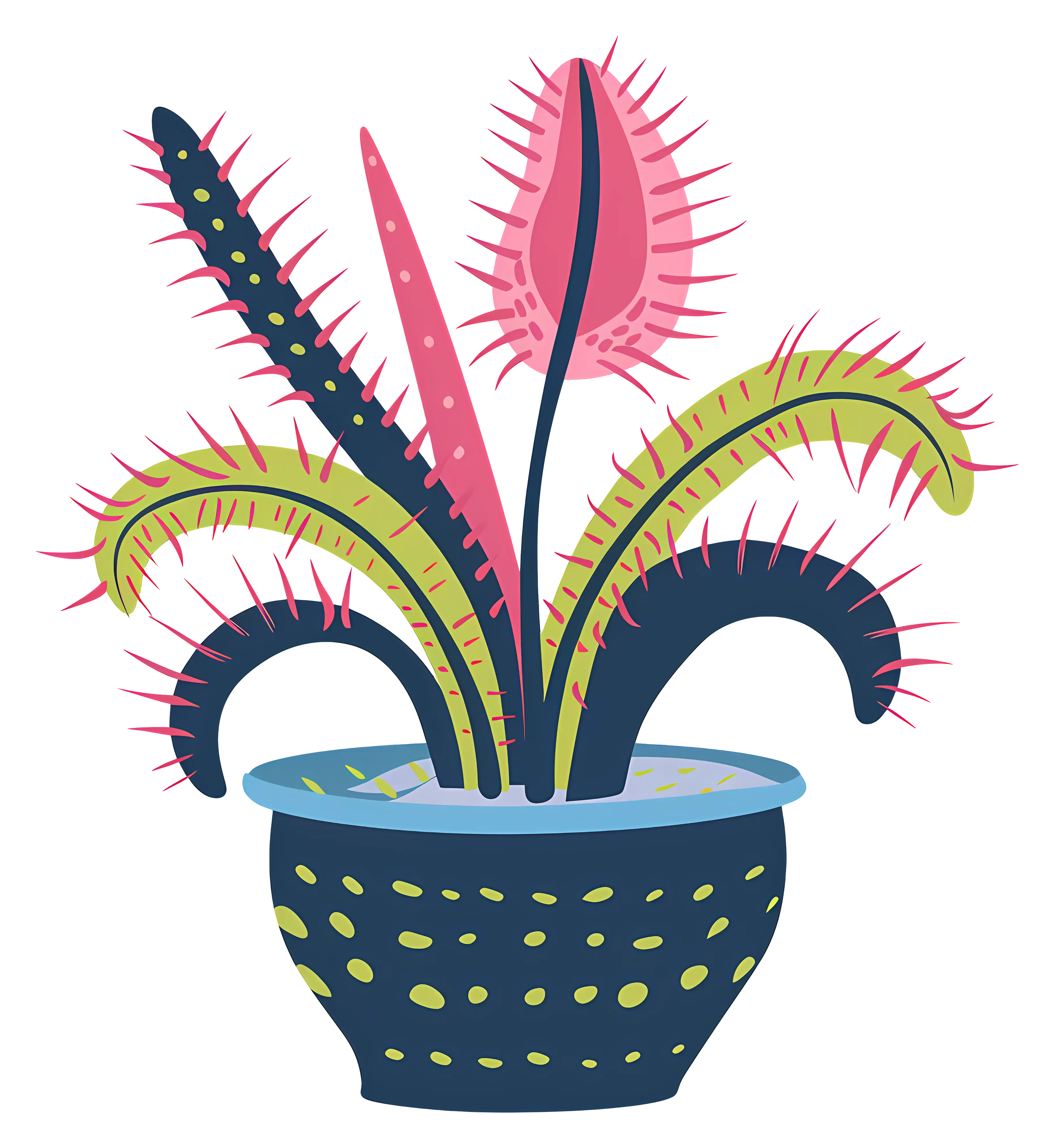 Carnivorous Plant in Pot