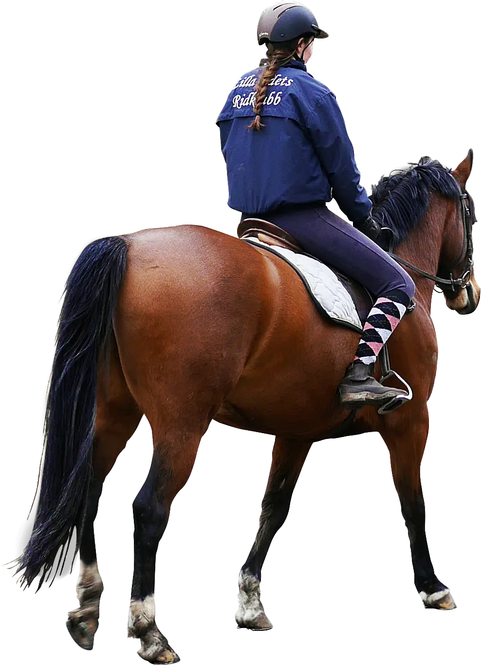 Person Riding a Horse