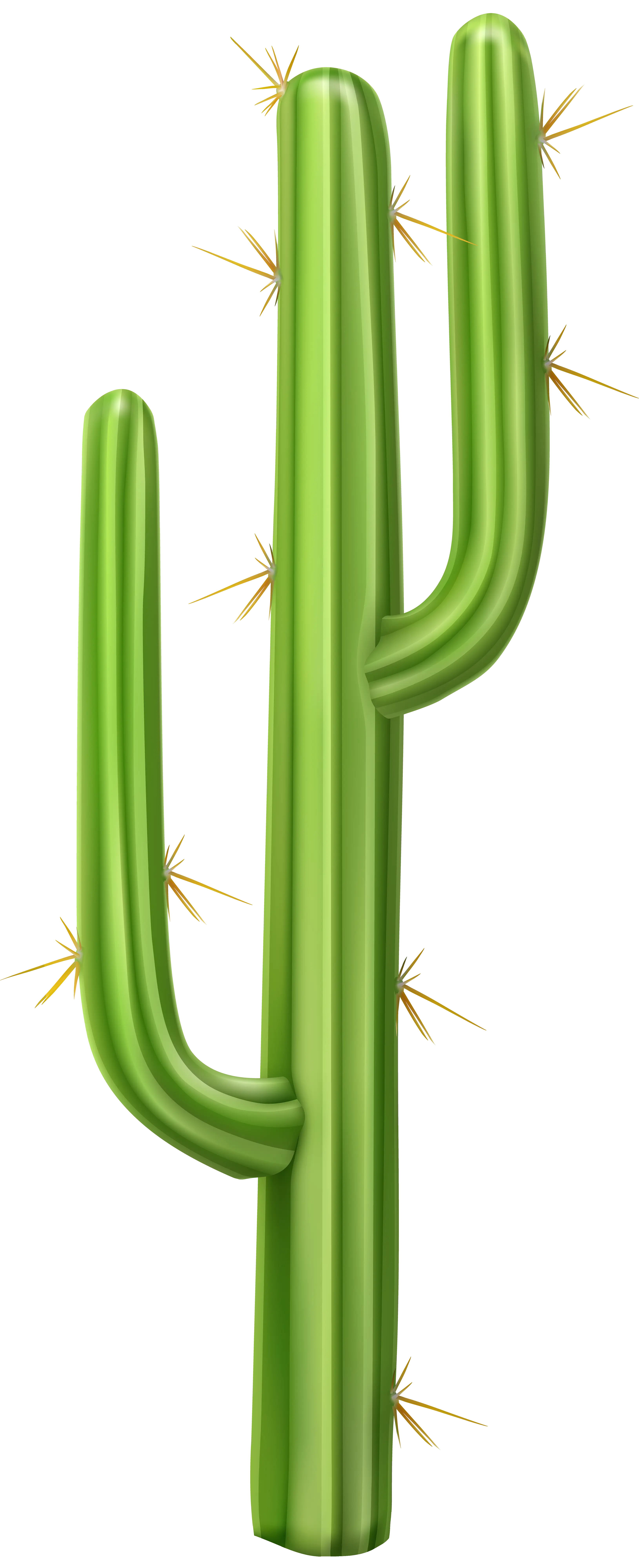 Tall Green Spiky Cactus