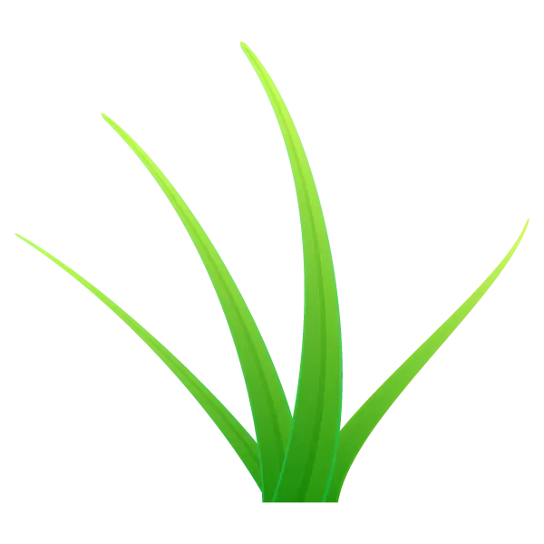 Green Grass Blades for Fresh Nature Elements