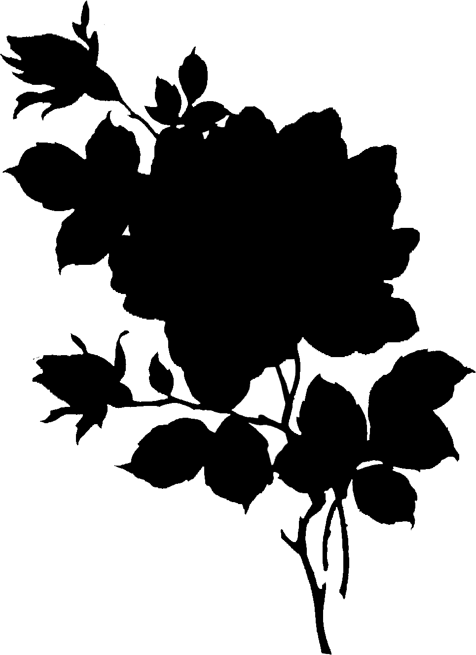 Black Silhouette of a Flower Design