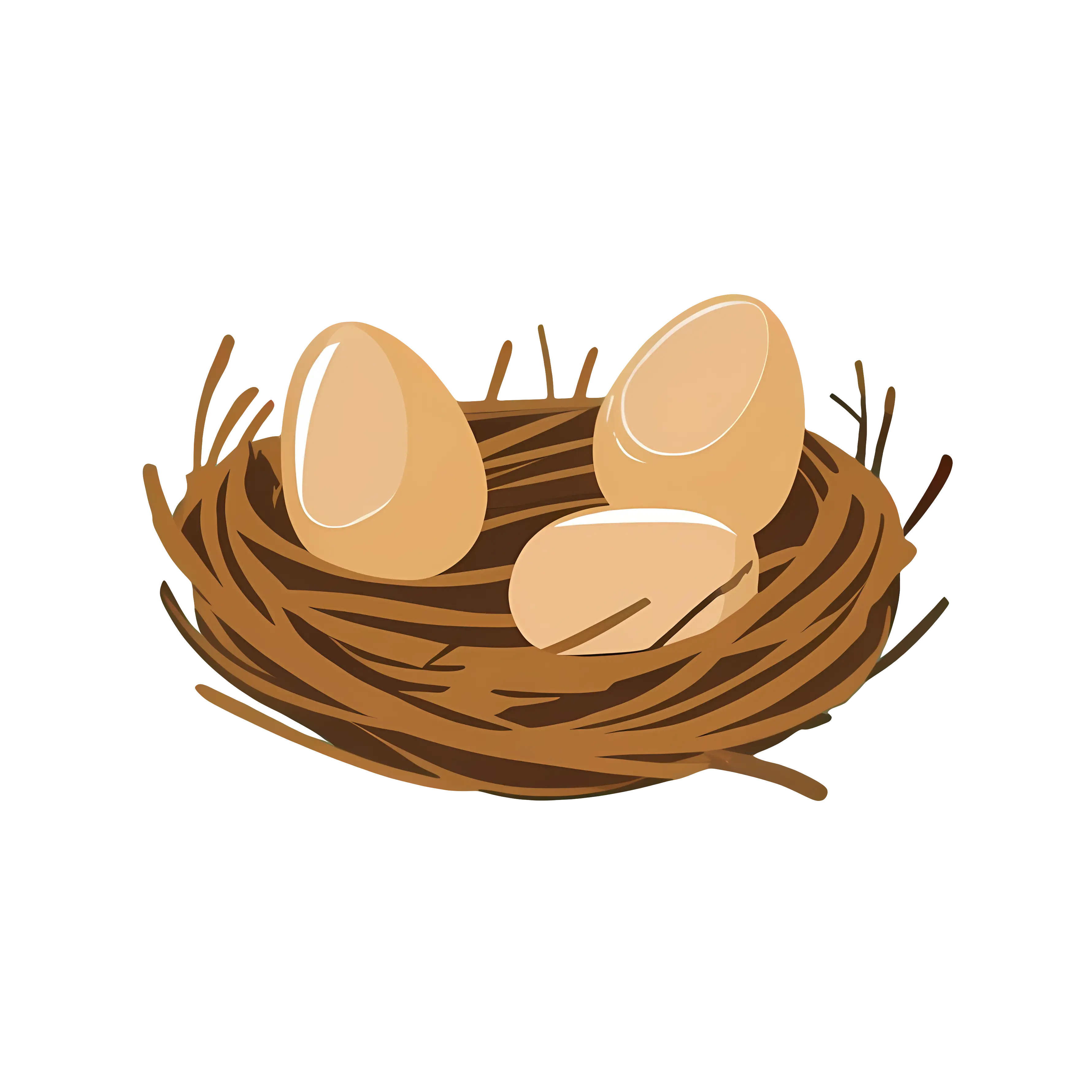 Bird Nest with Eggs Illustration