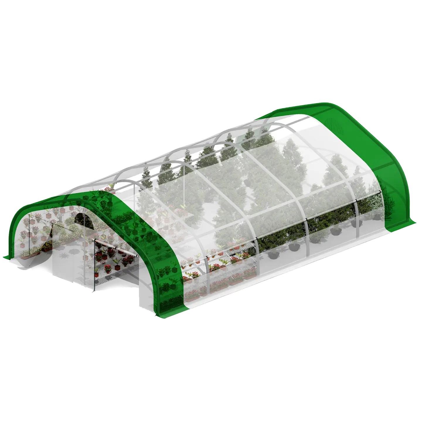 Transparent Greenhouse with Plants